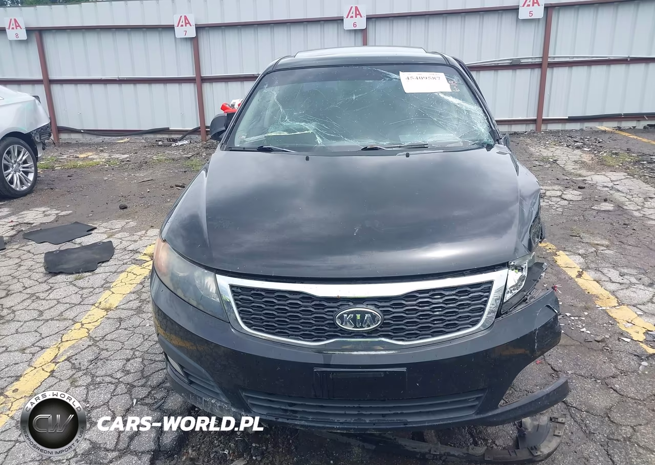 2010 Kia Optima Sx VIN:KNAGH4A43A5407568 - 12