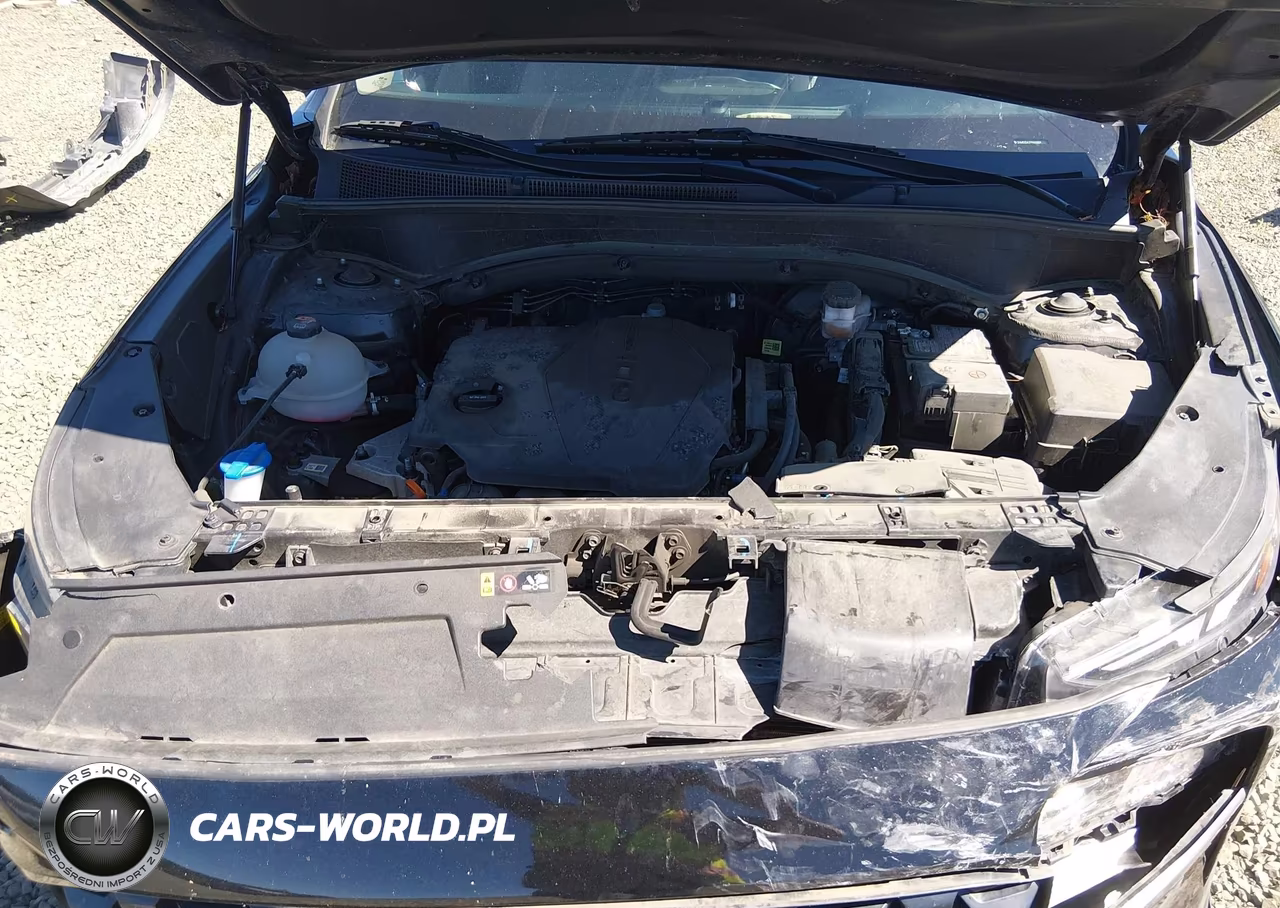 2023 Hyundai Santa Fe Sel VIN:5NMS2DAJ7PH643084 - 10