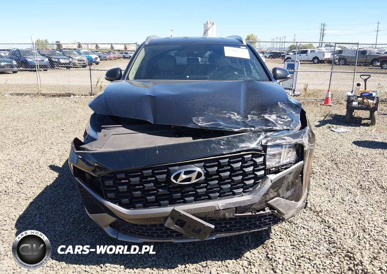 2023 Hyundai Santa Fe Sel VIN:5NMS2DAJ7PH643084 - 13