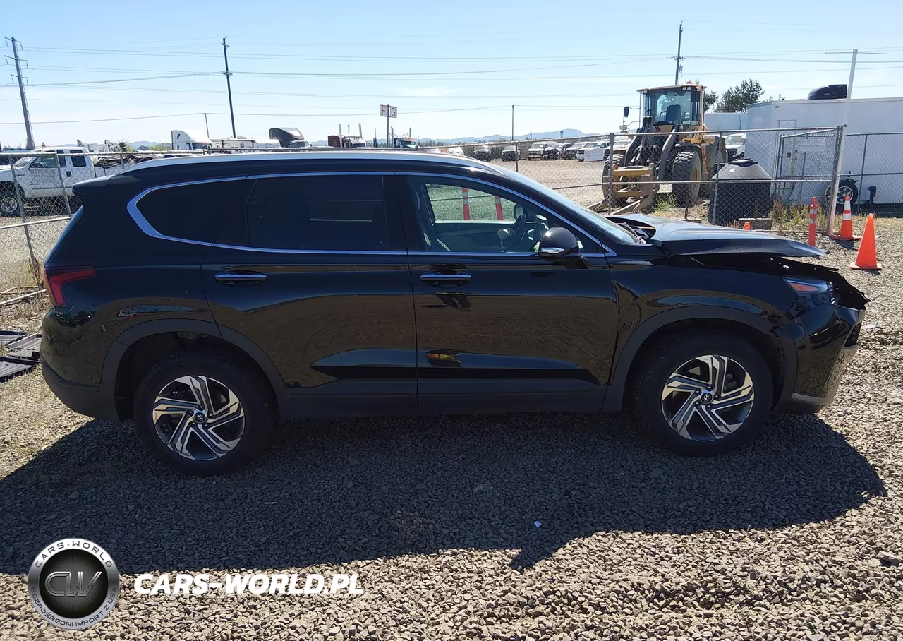 2023 Hyundai Santa Fe Sel VIN:5NMS2DAJ7PH643084 - 14