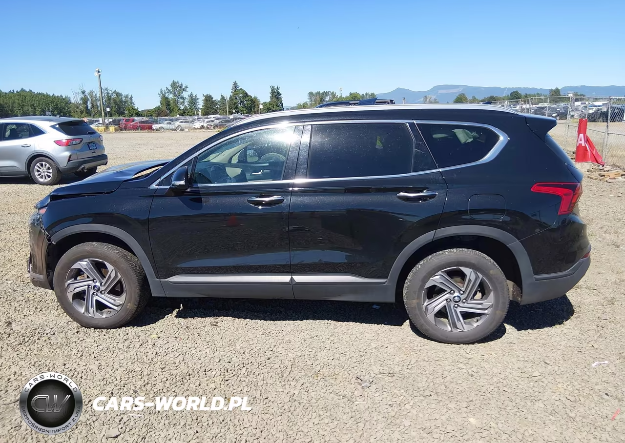 2023 Hyundai Santa Fe Sel VIN:5NMS2DAJ7PH643084 - 15
