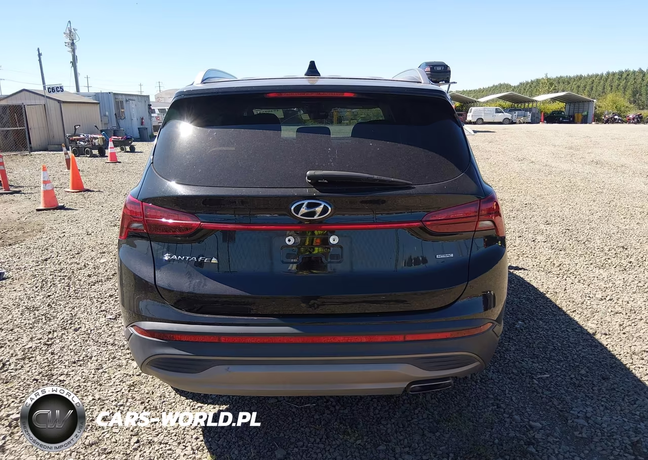 2023 Hyundai Santa Fe Sel VIN:5NMS2DAJ7PH643084 - 17