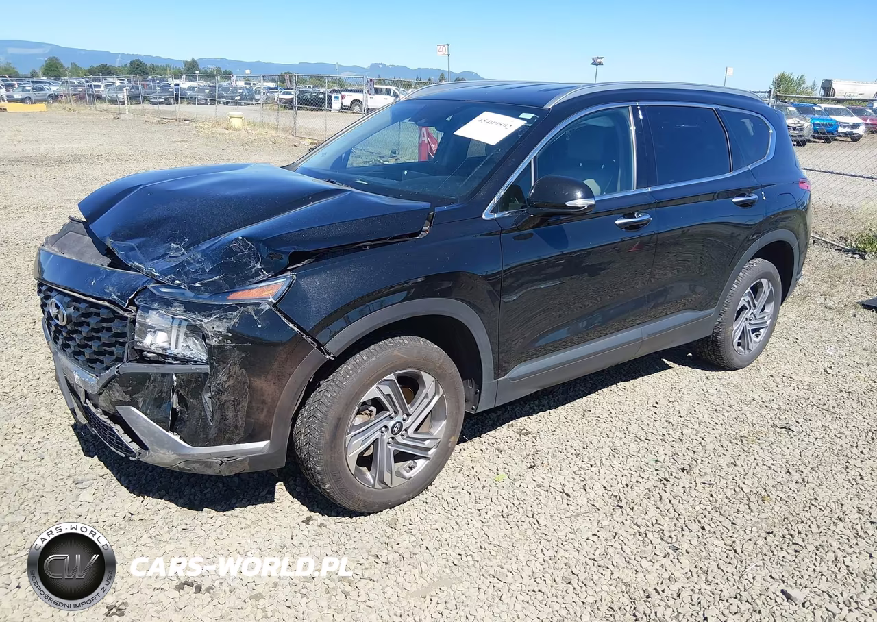 2023 Hyundai Santa Fe Sel VIN:5NMS2DAJ7PH643084 - 2