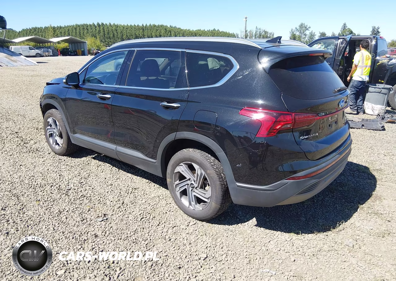 2023 Hyundai Santa Fe Sel VIN:5NMS2DAJ7PH643084 - 3