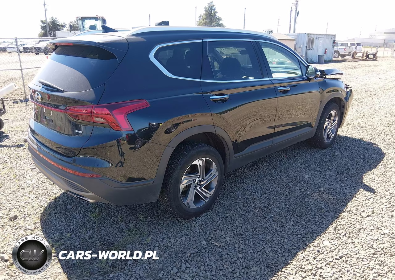 2023 Hyundai Santa Fe Sel VIN:5NMS2DAJ7PH643084 - 4