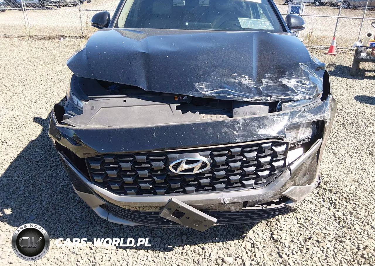 2023 Hyundai Santa Fe Sel VIN:5NMS2DAJ7PH643084 - 6