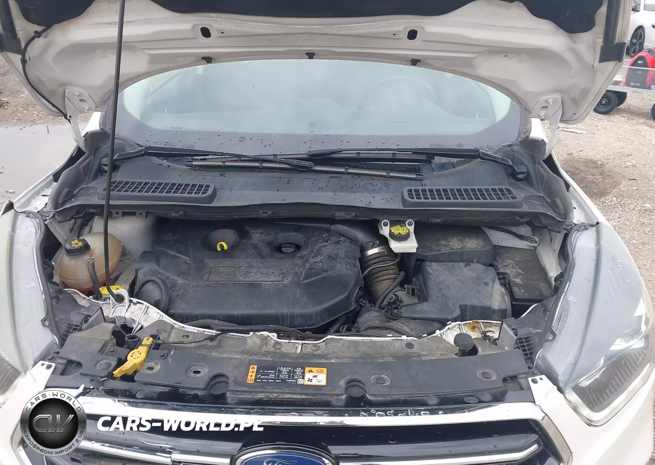 2017 Ford Escape Se VIN:1FMCU9G96HUB97735 - 10