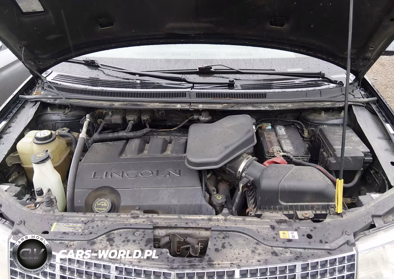 2008 Lincoln Mkx VIN:2LMDU88CX8BJ02273 - 10