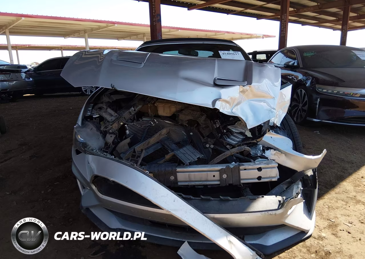 2019 Ford Mustang Ecoboost-Ecoboost Premium VIN:1FATP8UH1K5181743 - 12
