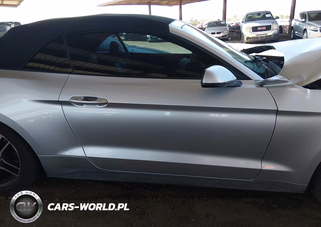 2019 Ford Mustang Ecoboost-Ecoboost Premium VIN:1FATP8UH1K5181743 - 13