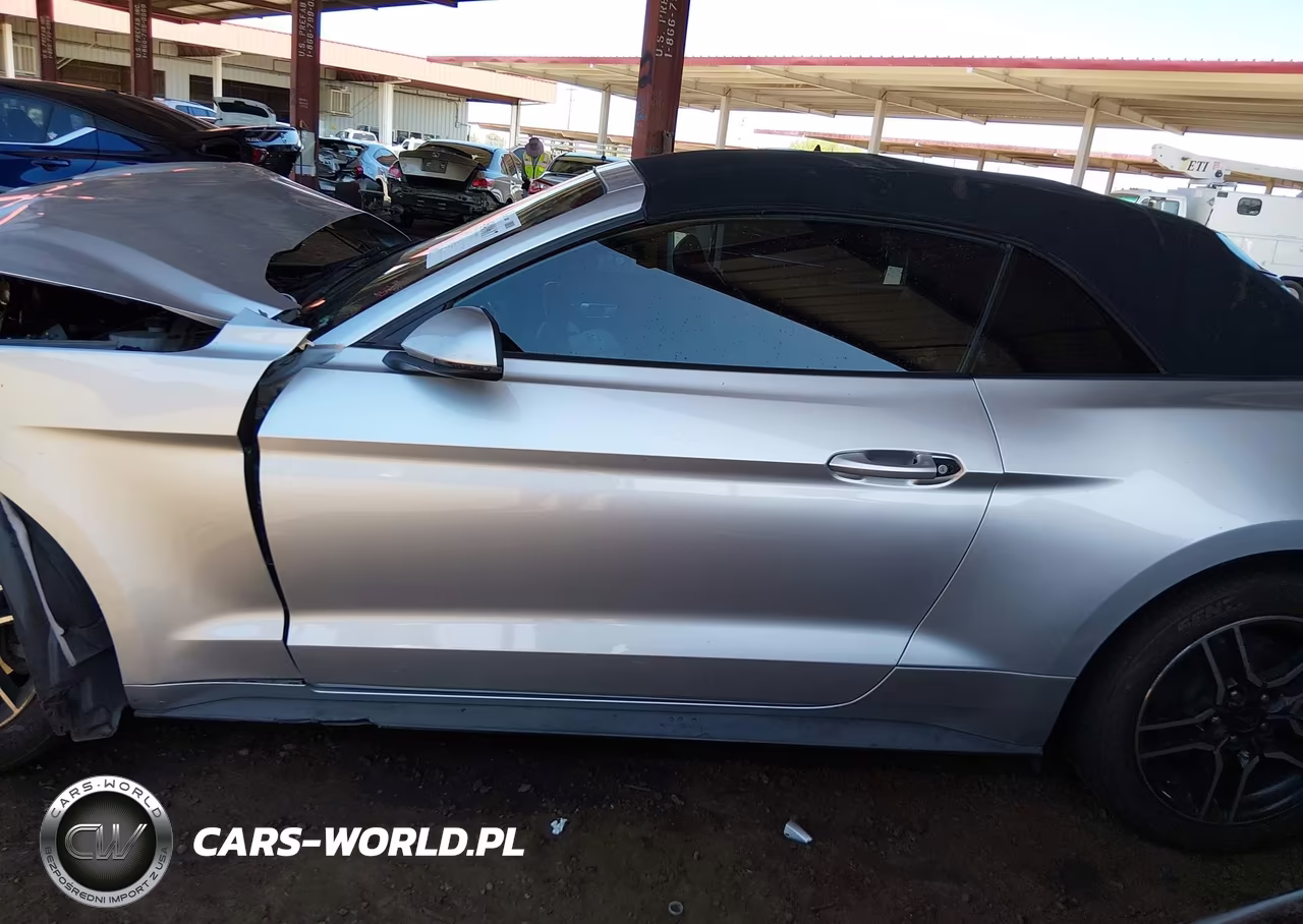 2019 Ford Mustang Ecoboost-Ecoboost Premium VIN:1FATP8UH1K5181743 - 14