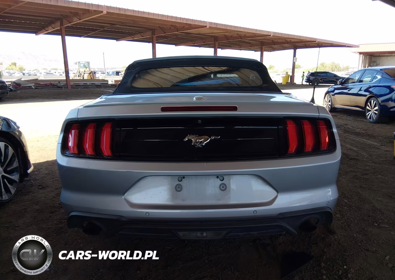 2019 Ford Mustang Ecoboost-Ecoboost Premium VIN:1FATP8UH1K5181743 - 16