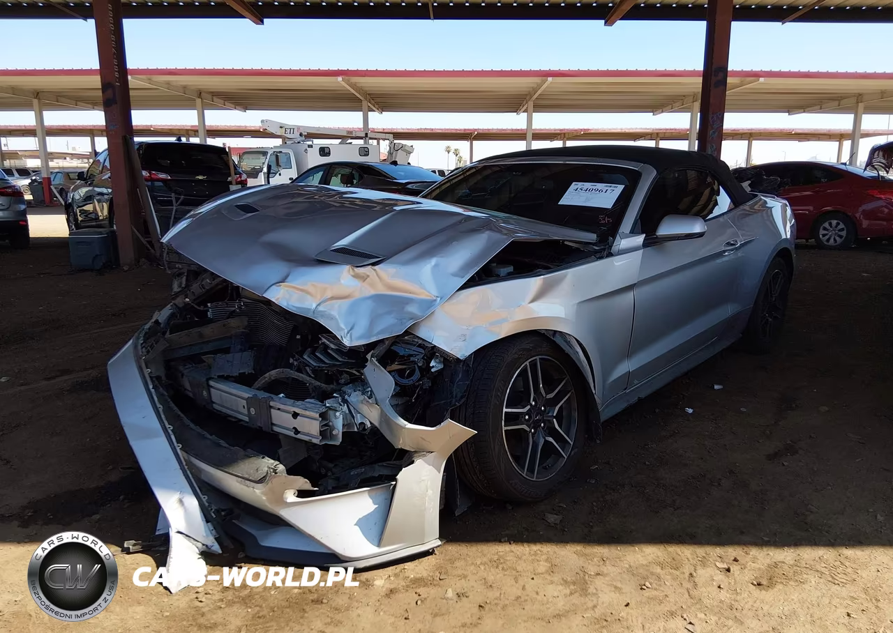 2019 Ford Mustang Ecoboost-Ecoboost Premium VIN:1FATP8UH1K5181743 - 2