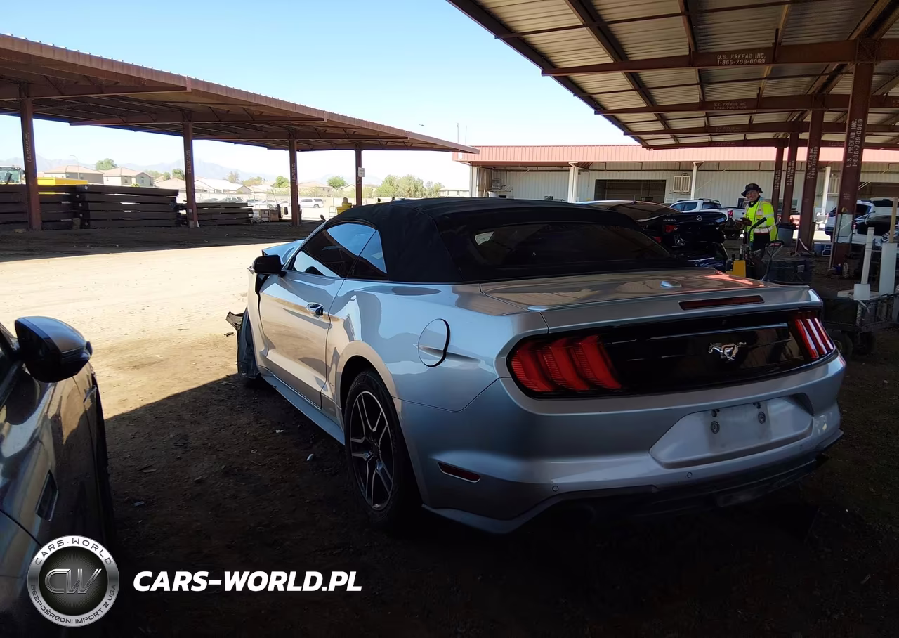 2019 Ford Mustang Ecoboost-Ecoboost Premium VIN:1FATP8UH1K5181743 - 3