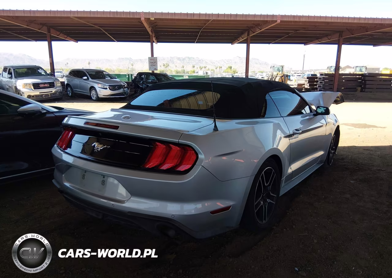 2019 Ford Mustang Ecoboost-Ecoboost Premium VIN:1FATP8UH1K5181743 - 4