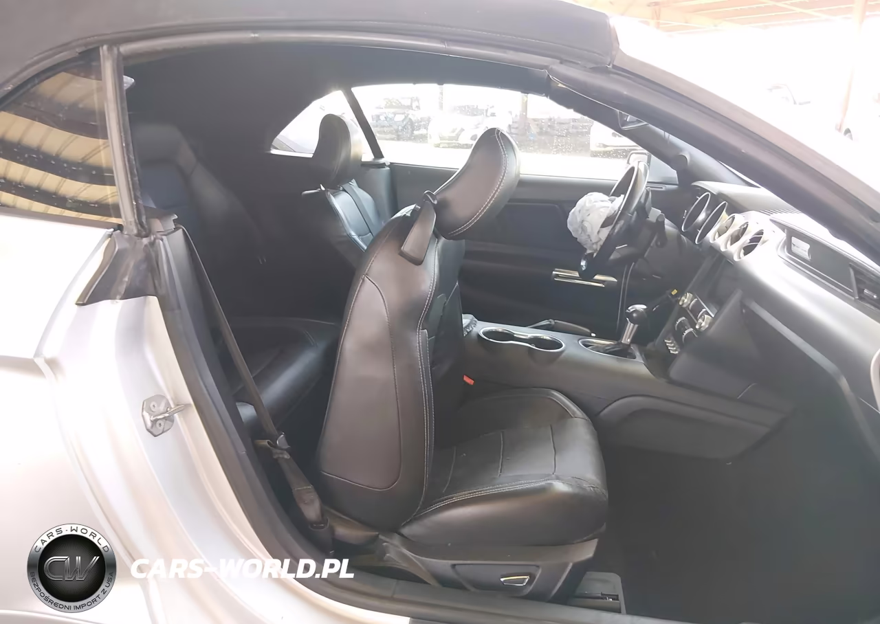 2019 Ford Mustang Ecoboost-Ecoboost Premium VIN:1FATP8UH1K5181743 - 8