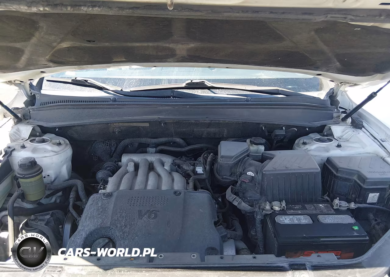 2009 Hyundai Santa Fe Gls VIN:5NMSG13D69H287382 - 10