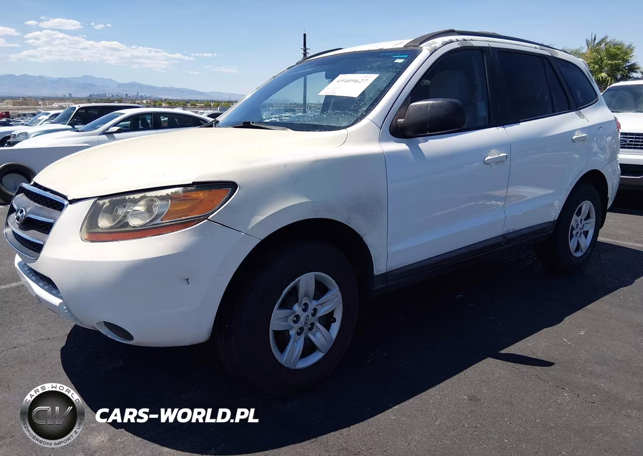2009 Hyundai Santa Fe Gls VIN:5NMSG13D69H287382 - 2
