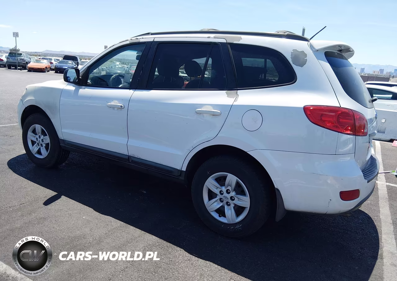 2009 Hyundai Santa Fe Gls VIN:5NMSG13D69H287382 - 3