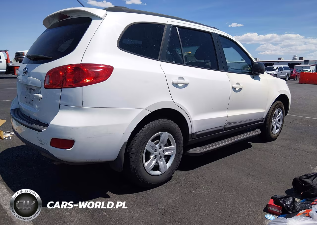 2009 Hyundai Santa Fe Gls VIN:5NMSG13D69H287382 - 4
