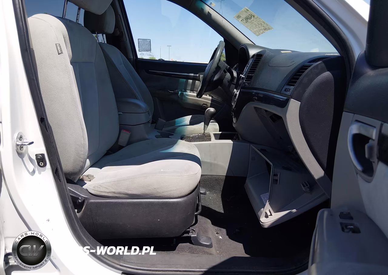 2009 Hyundai Santa Fe Gls VIN:5NMSG13D69H287382 - 5