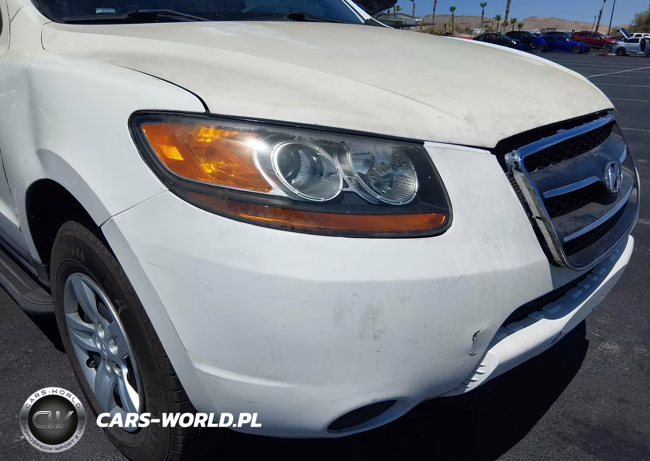 2009 Hyundai Santa Fe Gls VIN:5NMSG13D69H287382 - 6