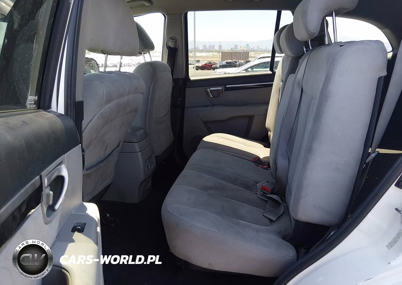 2009 Hyundai Santa Fe Gls VIN:5NMSG13D69H287382 - 8