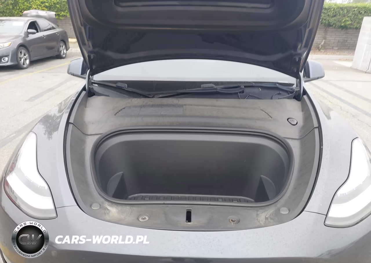 2020 Tesla Model Y Long Range Dual Motor All-Wheel Drive VIN:5YJYGDEEXLF045396 - 10