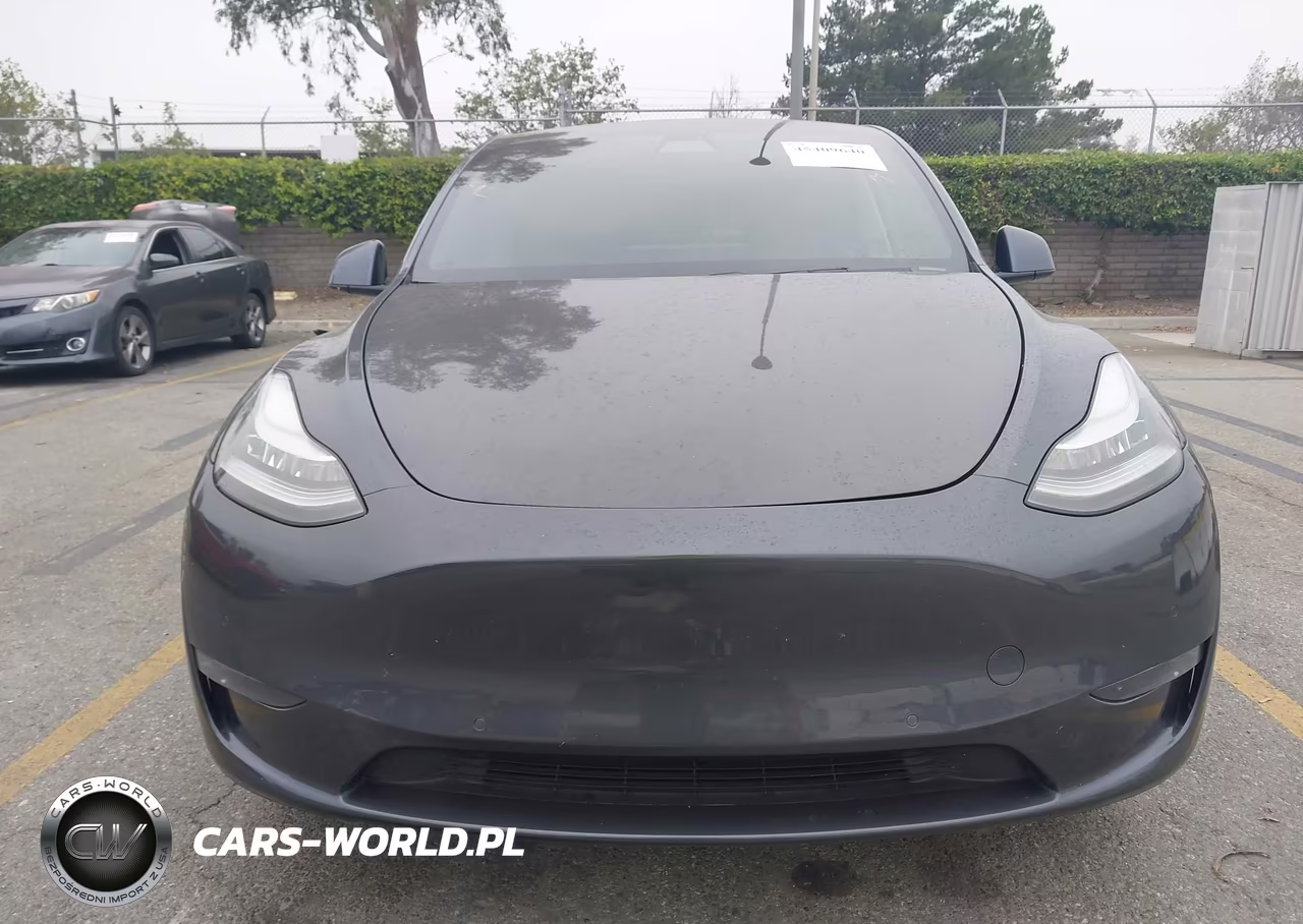 2020 Tesla Model Y Long Range Dual Motor All-Wheel Drive VIN:5YJYGDEEXLF045396 - 11