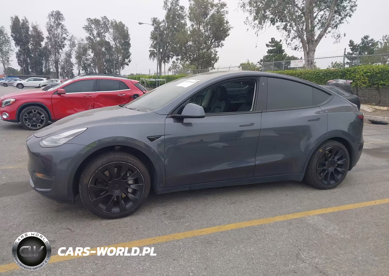 2020 Tesla Model Y Long Range Dual Motor All-Wheel Drive VIN:5YJYGDEEXLF045396 - 13