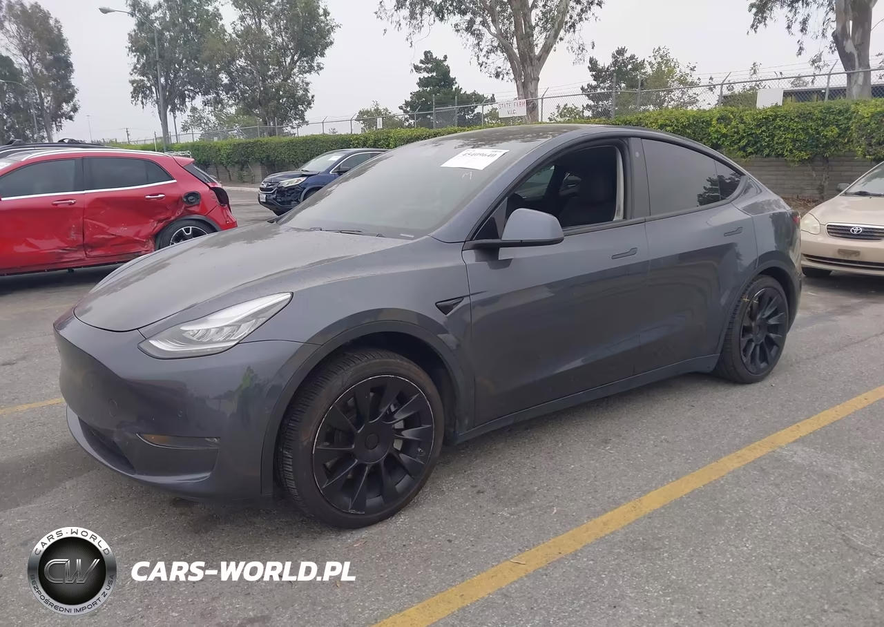 2020 Tesla Model Y Long Range Dual Motor All-Wheel Drive VIN:5YJYGDEEXLF045396 - 2