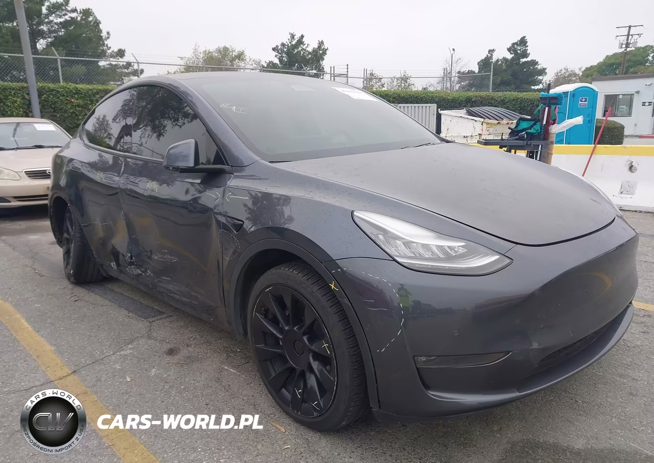 2020 Tesla Model Y Long Range Dual Motor All-Wheel Drive VIN:5YJYGDEEXLF045396 - 20