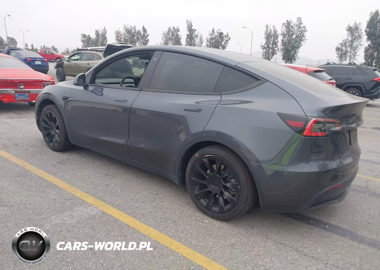 2020 Tesla Model Y Long Range Dual Motor All-Wheel Drive VIN:5YJYGDEEXLF045396 - 3