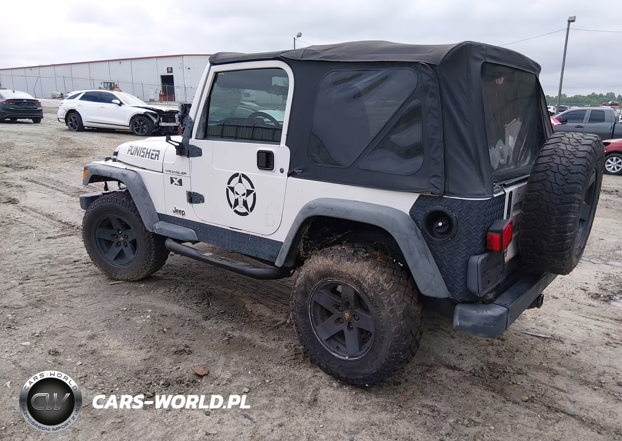 2002 Jeep Wrangler X VIN:1J4FA39S12P734339 - 3