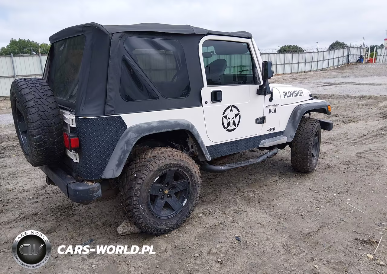 2002 Jeep Wrangler X VIN:1J4FA39S12P734339 - 4
