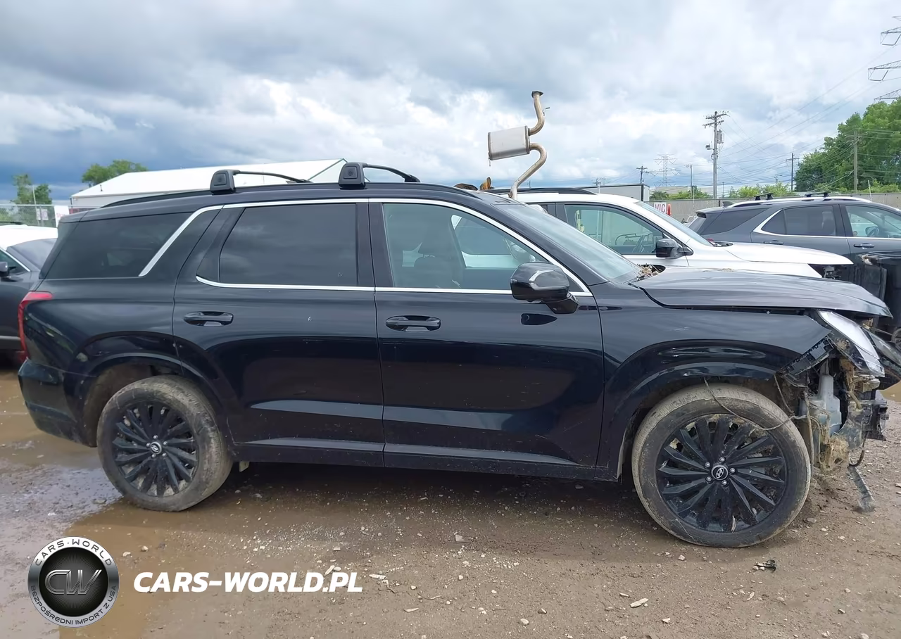 2024 Hyundai Palisade Calligraphy Night Edition VIN:KM8R7DGE7RU747625 - 14