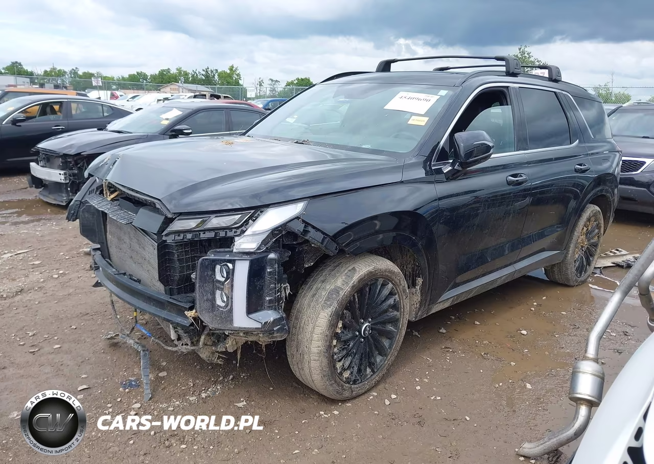 2024 Hyundai Palisade Calligraphy Night Edition VIN:KM8R7DGE7RU747625 - 2