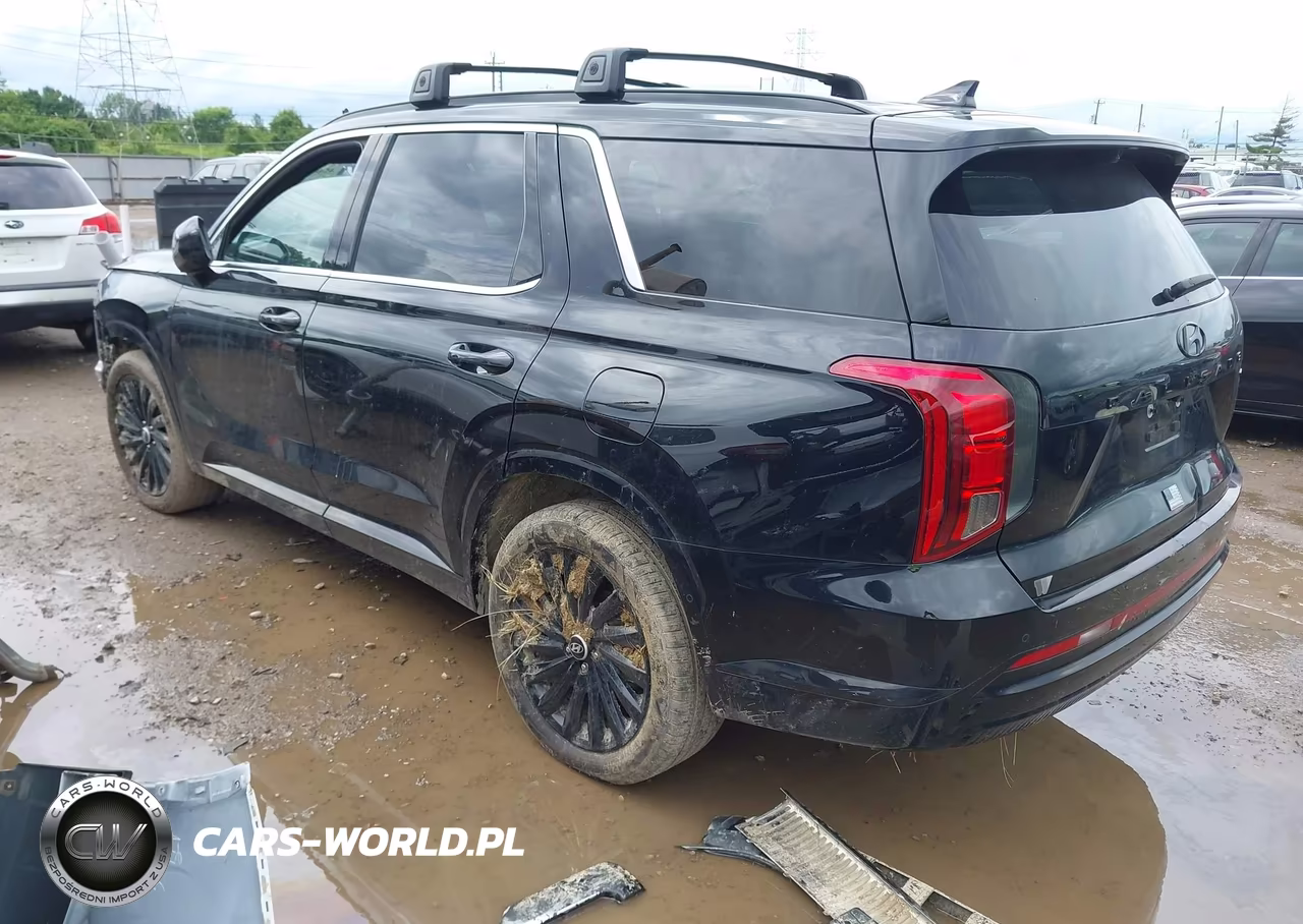 2024 Hyundai Palisade Calligraphy Night Edition VIN:KM8R7DGE7RU747625 - 3