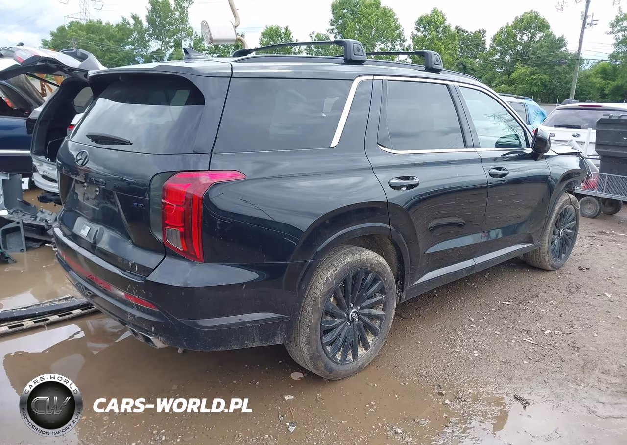 2024 Hyundai Palisade Calligraphy Night Edition VIN:KM8R7DGE7RU747625 - 4
