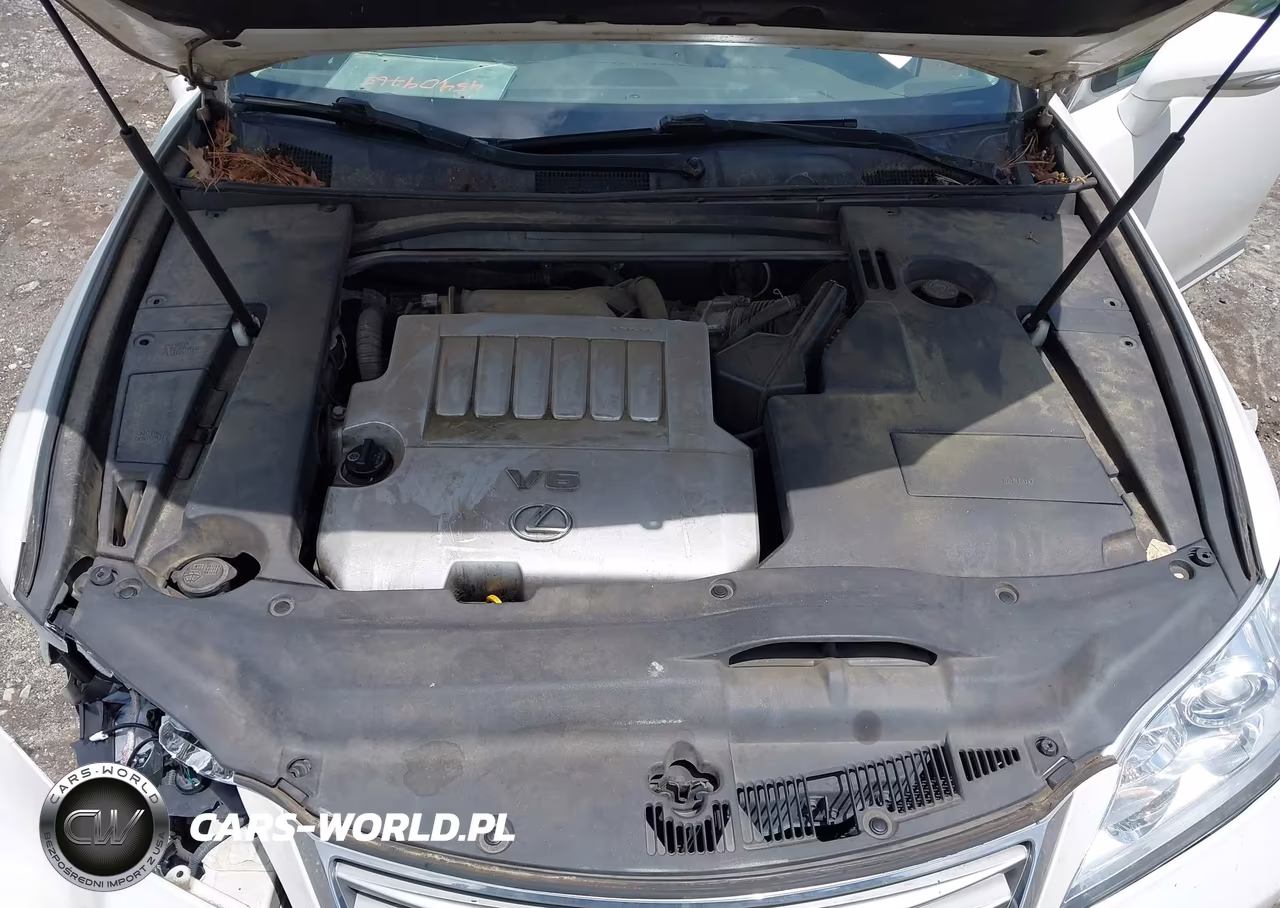 2010 Lexus Es 350 VIN:JTHBK1EG7A2345898 - 10