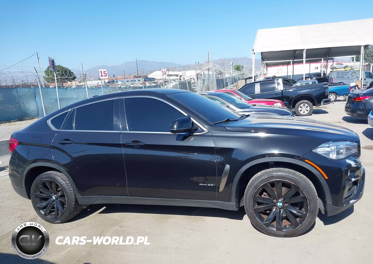 2017 BMW X6 xDrive35I VIN:5UXKU2C32H0X46961 - 13