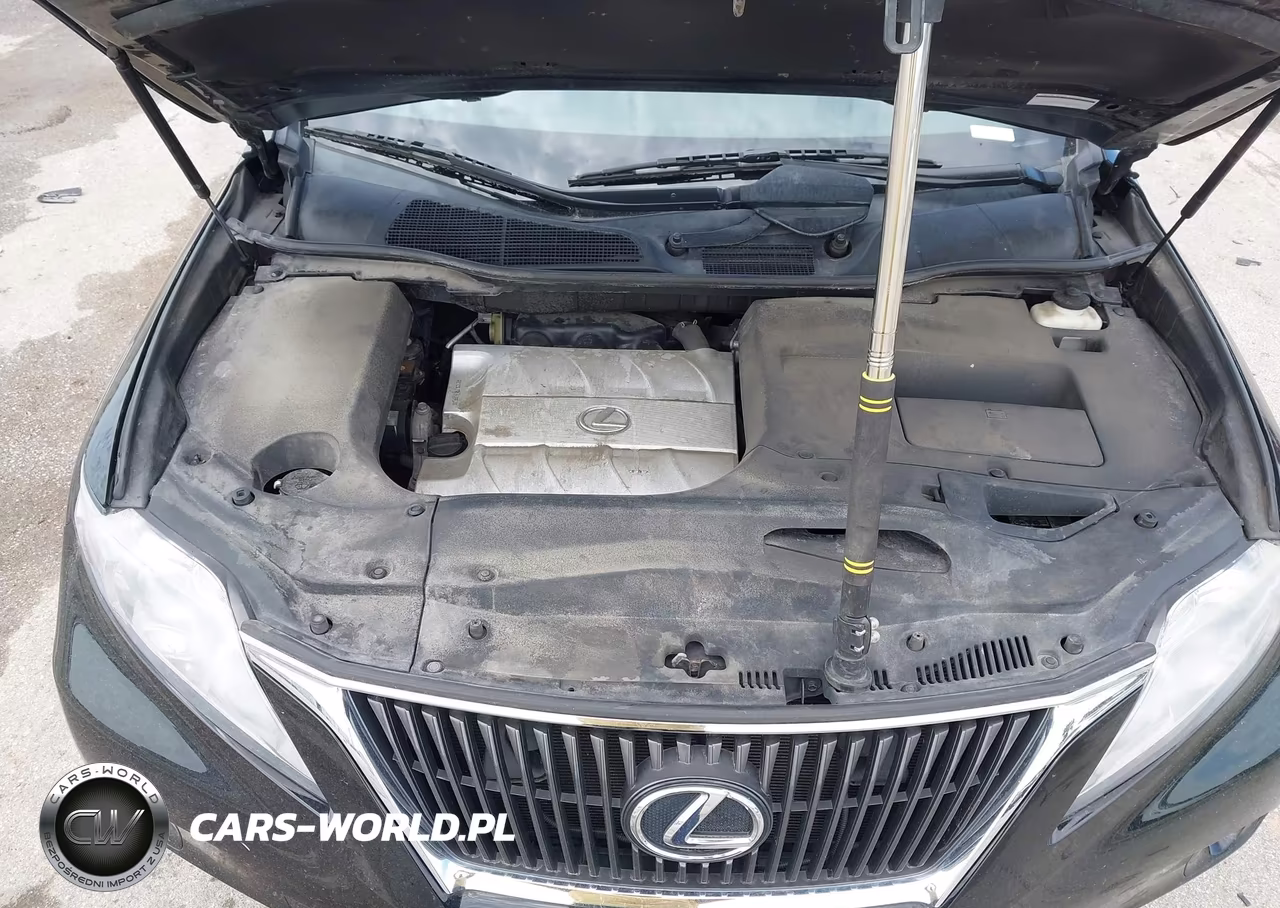 2010 Lexus Rx 350 VIN:2T2BK1BA4AC079500 - 10