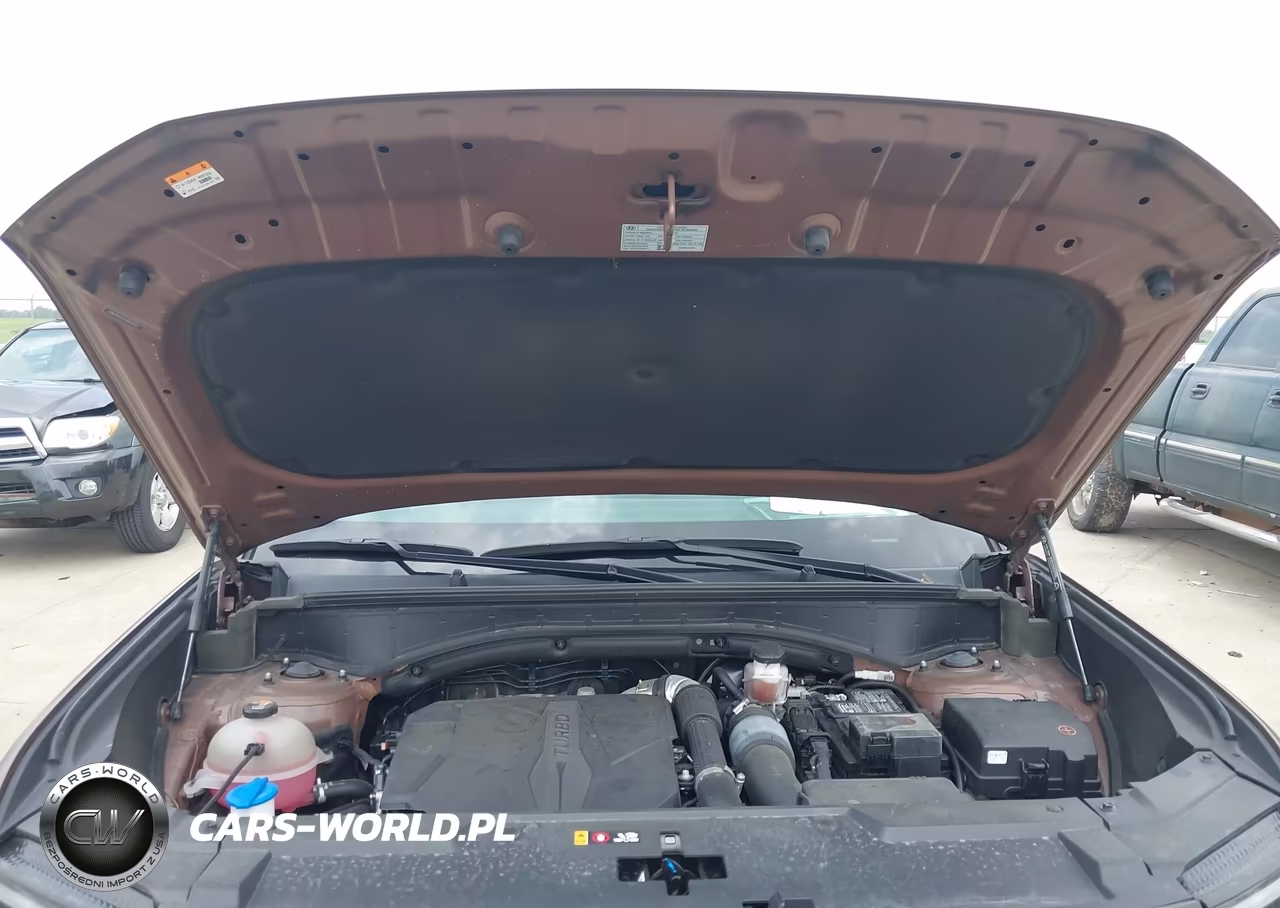 2024 Hyundai Santa Fe Limited VIN:5NMP4DGL6RH018252 - 10
