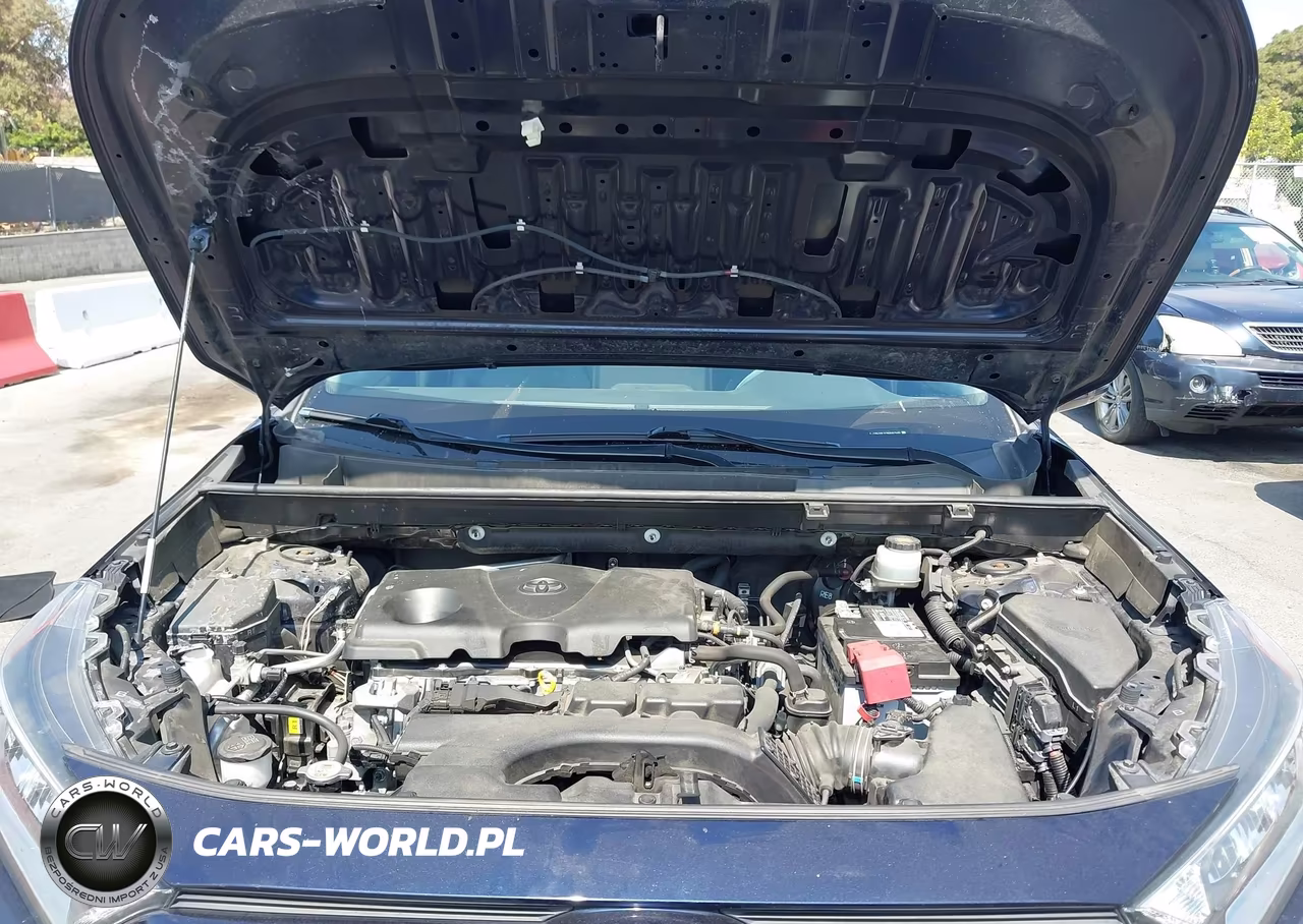 2019 Toyota Rav4 Xle Premium VIN:JTMC1RFV1KD027530 - 10