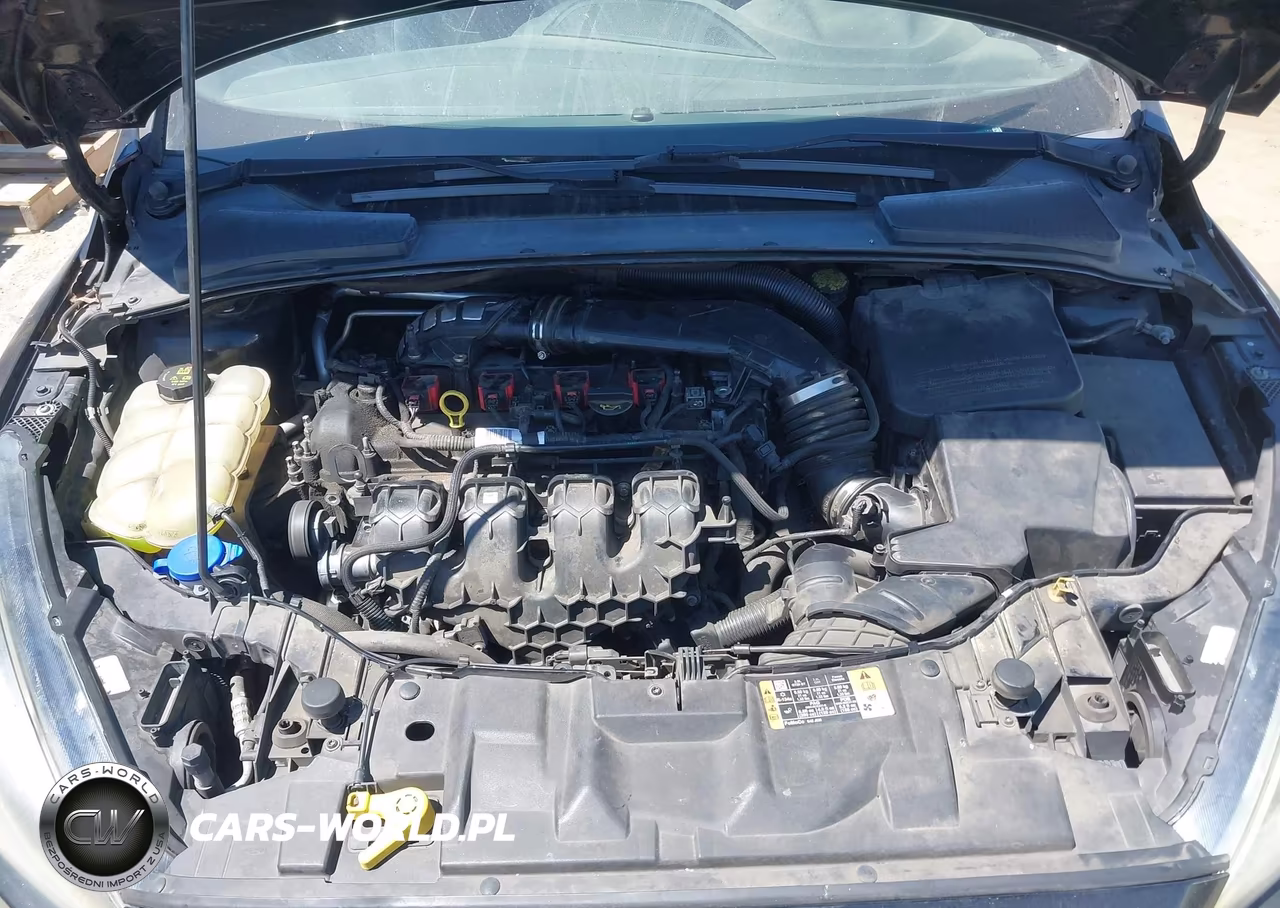 2016 Ford Focus St VIN:1FADP3L9XGL203257 - 10