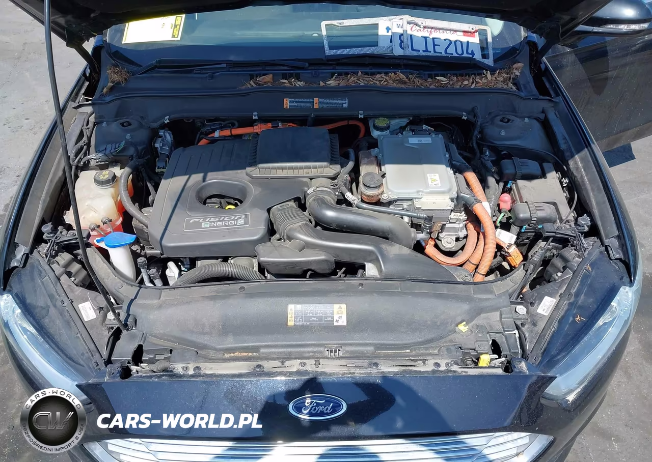 2016 Ford Fusion Energi Titanium VIN:3FA6P0SU4GR229738 - 10