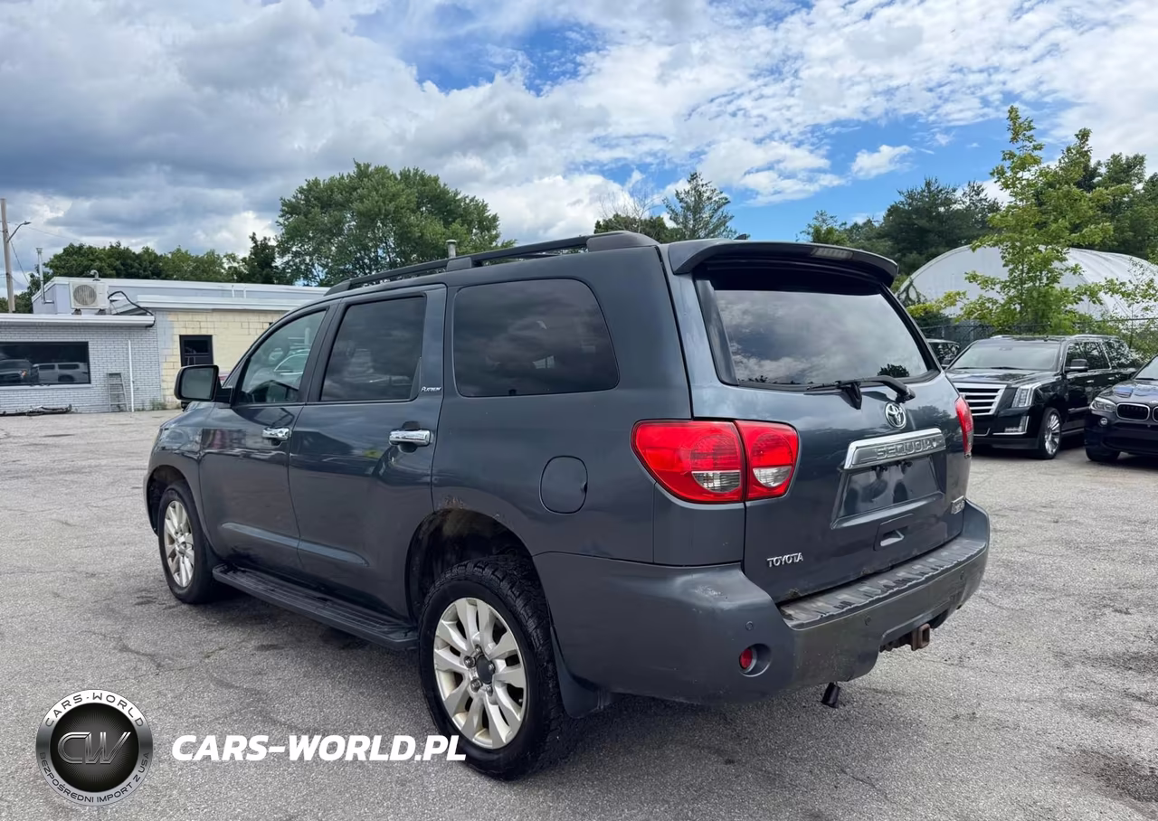 2010 Toyota Sequoia Platinum VIN:5TDDY5G18AS033686 - 3