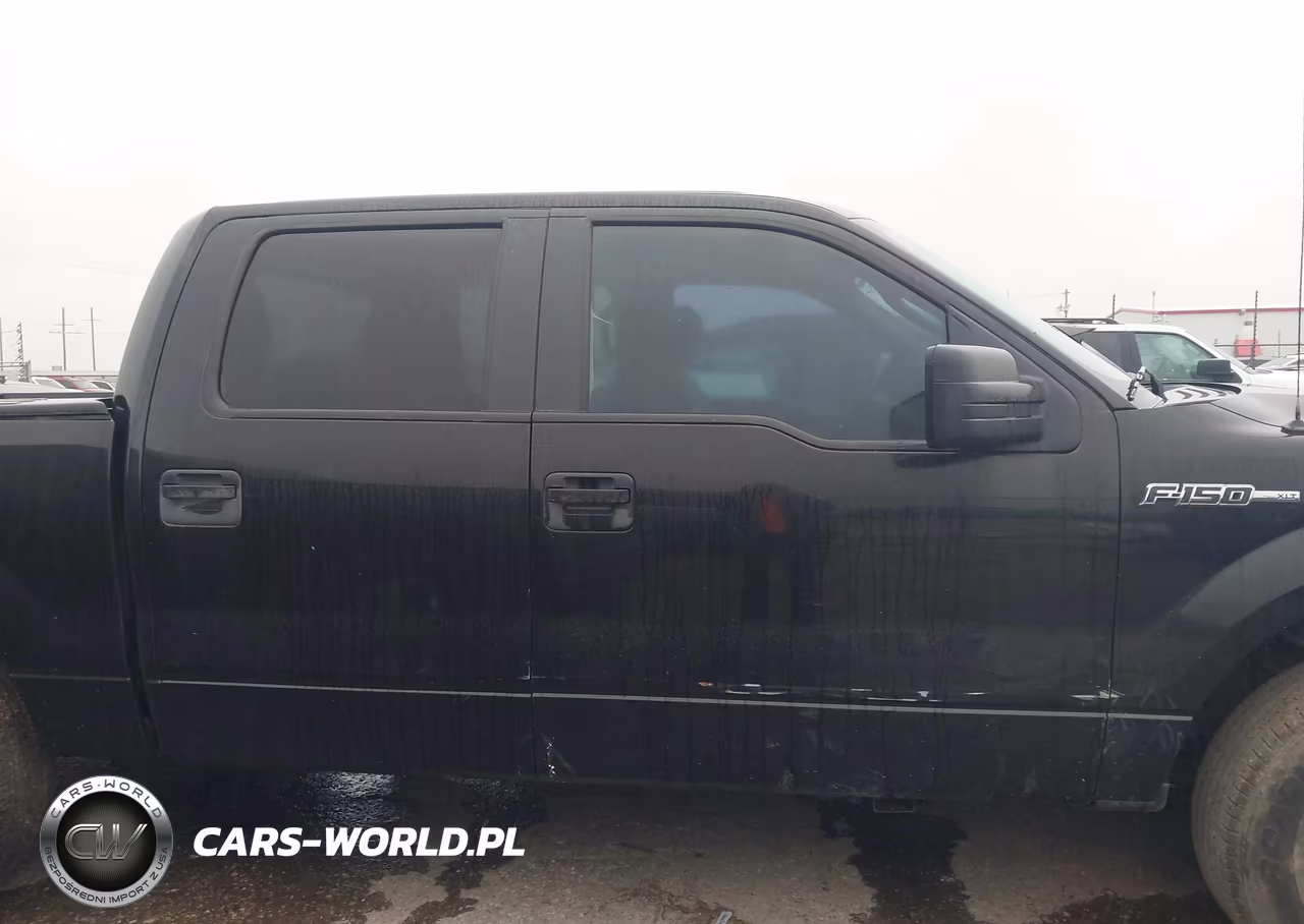 2010 Ford F-150 Fx2 Sport-Xl-Xlt VIN:1FTEW1C85AFA61242 - 13