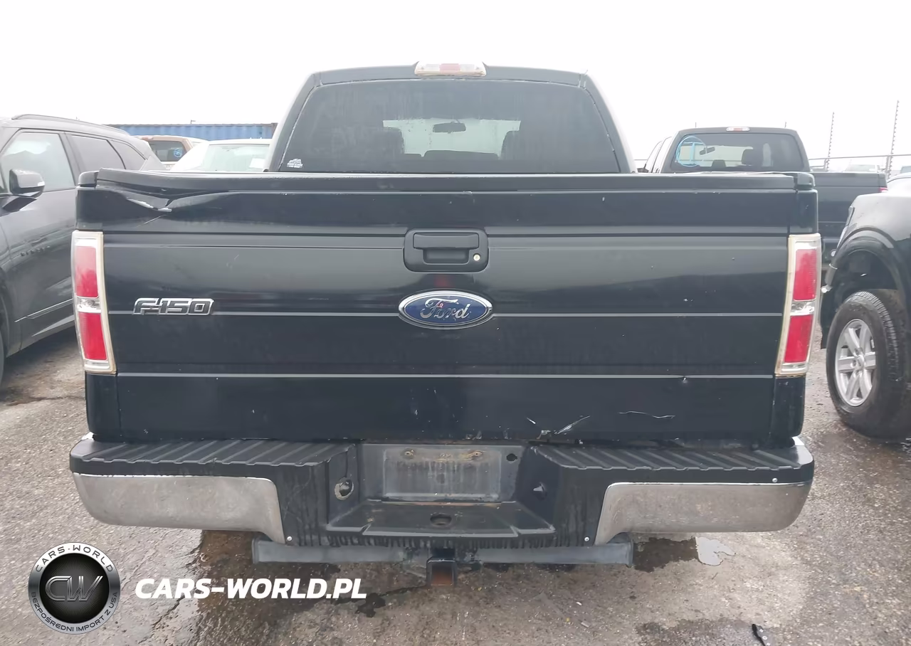 2010 Ford F-150 Fx2 Sport-Xl-Xlt VIN:1FTEW1C85AFA61242 - 16