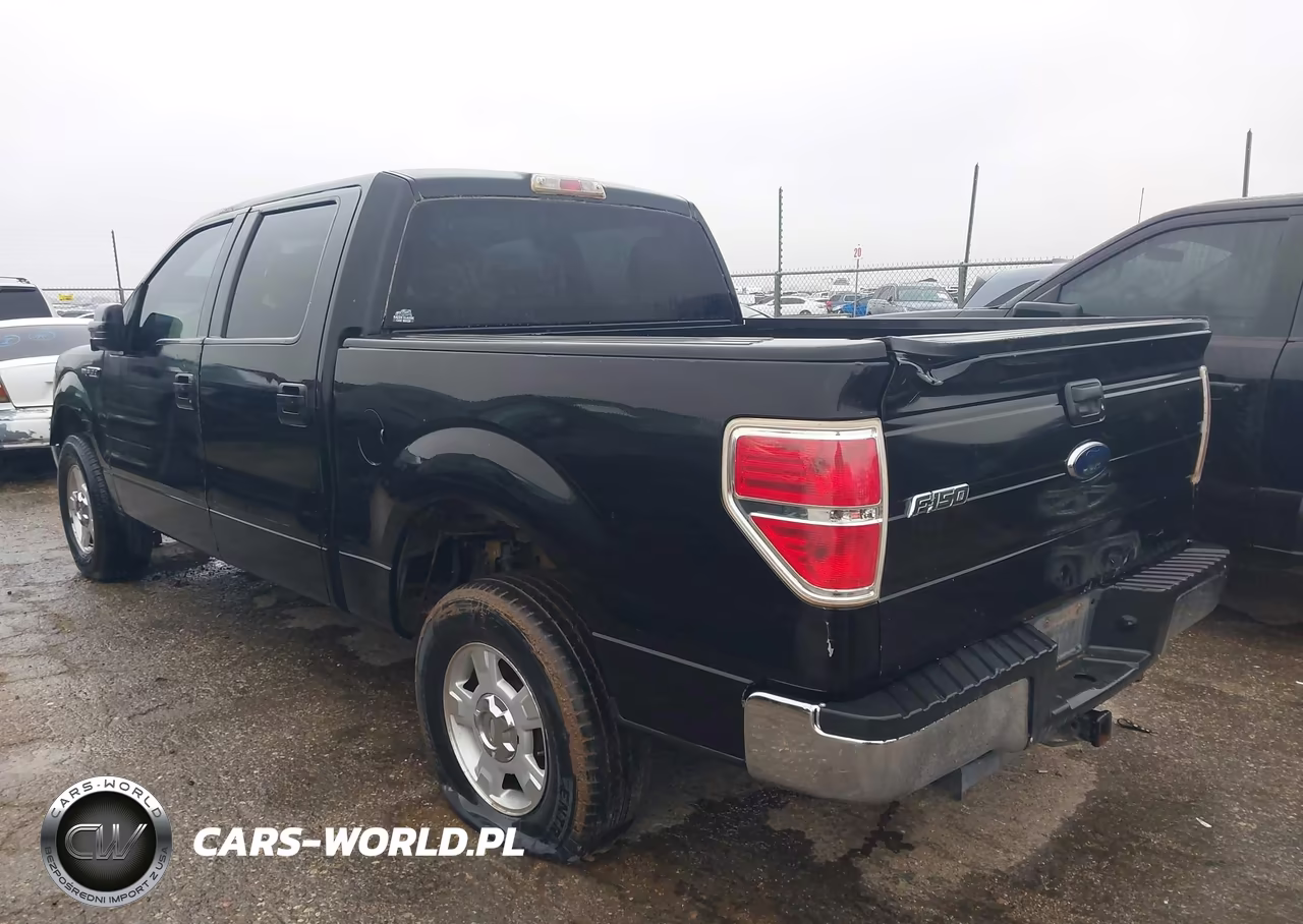 2010 Ford F-150 Fx2 Sport-Xl-Xlt VIN:1FTEW1C85AFA61242 - 3